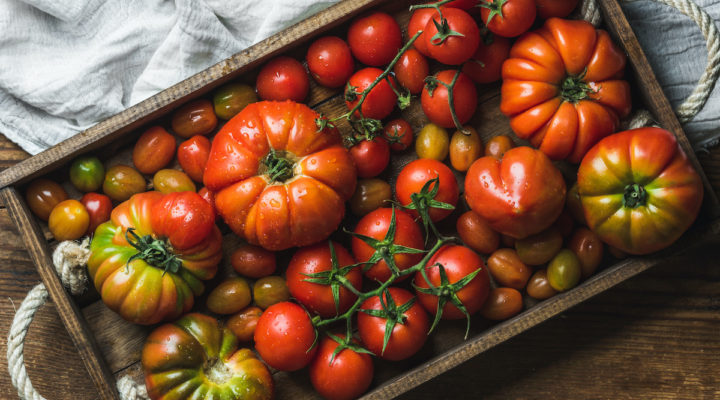 Tomatoes are rich in lycopene