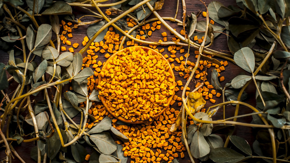 Fenugreek spices