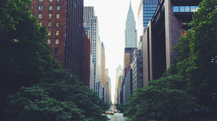 new york wellness guide