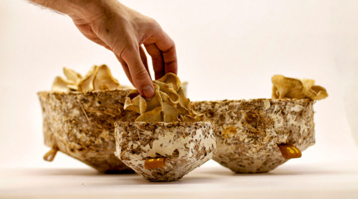 sustainable materials